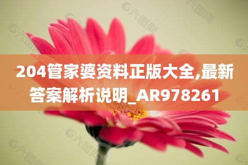 204管家婆资料正版大全,最新答案解析说明_AR978261