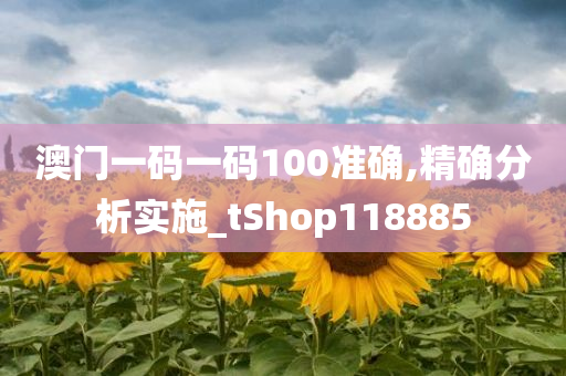 澳门一码一码100准确,精确分析实施_tShop118885