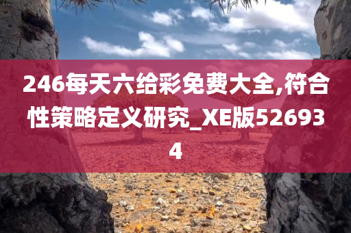 246每天六给彩免费大全,符合性策略定义研究_XE版526934