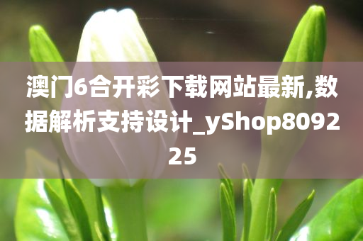 澳门6合开彩下载网站最新,数据解析支持设计_yShop809225