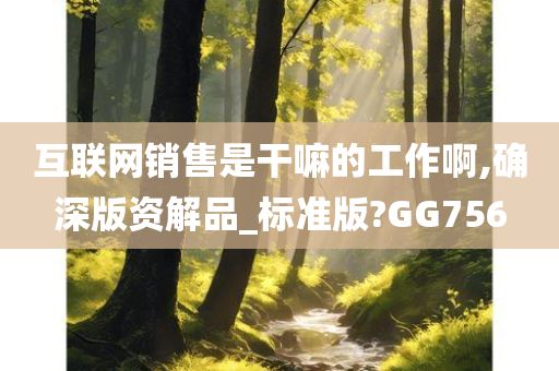 互联网销售是干嘛的工作啊,确深版资解品_标准版?GG756