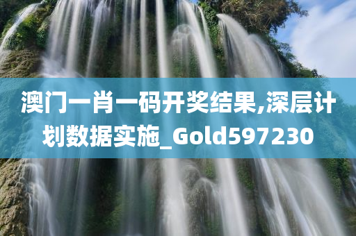 澳门一肖一码开奖结果,深层计划数据实施_Gold597230