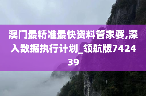 澳门最精准最快资料管家婆,深入数据执行计划_领航版742439