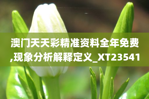 澳门天天彩精准资料全年免费,现象分析解释定义_XT235410