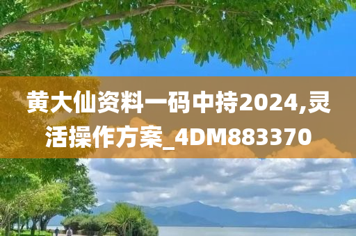 黄大仙资料一码中持2024,灵活操作方案_4DM883370