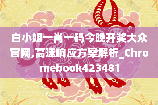 白小姐一肖一码今晚开奖大众官网,高速响应方案解析_Chromebook423481