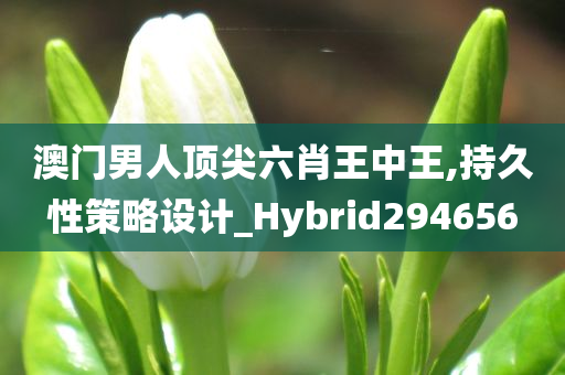 澳门男人顶尖六肖王中王,持久性策略设计_Hybrid294656