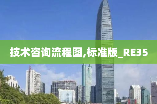 技术咨询流程图,标准版_RE35