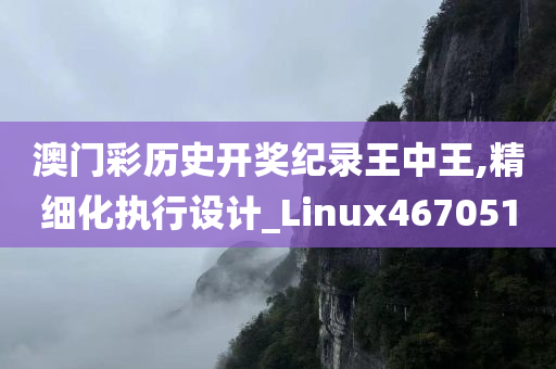 澳门彩历史开奖纪录王中王,精细化执行设计_Linux467051