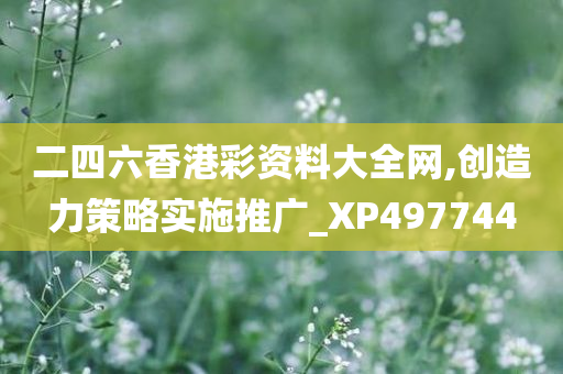 二四六香港彩资料大全网,创造力策略实施推广_XP497744