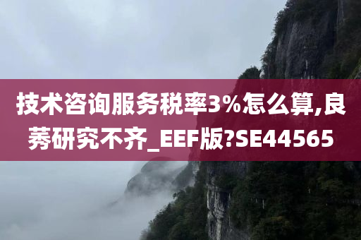 技术咨询服务税率3%怎么算,良莠研究不齐_EEF版?SE44565