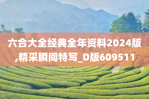 六合大全经典全年资料2024版,精采瞬间特写_D版609511