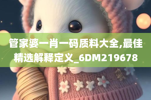 管家婆一肖一码质料大全,最佳精选解释定义_6DM219678