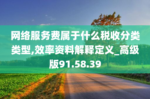 网络服务费属于什么税收分类类型,效率资料解释定义_高级版91.58.39