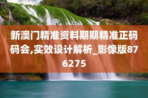 新澳门精准资料期期精准正码码会,实效设计解析_影像版876275