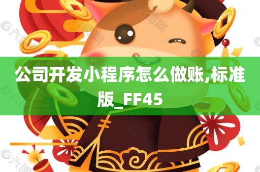 公司开发小程序怎么做账,标准版_FF45