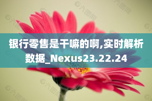 银行零售是干嘛的啊,实时解析数据_Nexus23.22.24