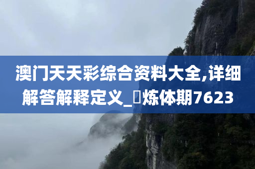 澳门天天彩综合资料大全,详细解答解释定义_‌炼体期7623