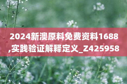 2024新澳原料免费资料1688,实践验证解释定义_Z425958