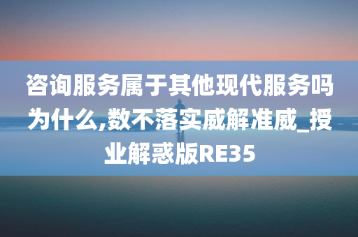 咨询服务属于其他现代服务吗为什么,数不落实威解准威_授业解惑版RE35