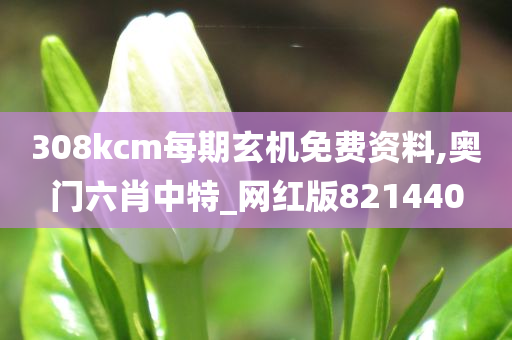 308kcm每期玄机免费资料,奥门六肖中特_网红版821440