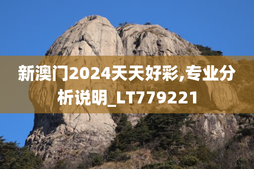 新澳门2024天天好彩,专业分析说明_LT779221