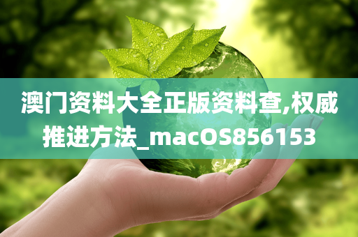 澳门资料大全正版资料查,权威推进方法_macOS856153