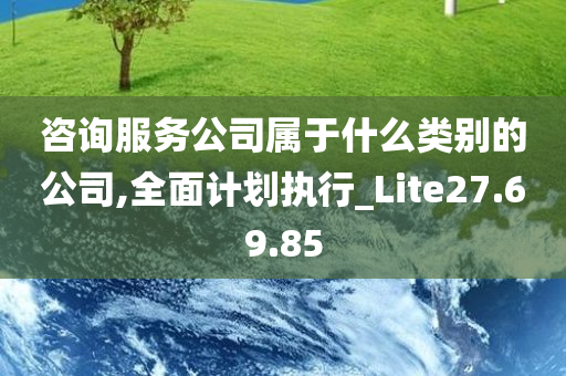 咨询服务公司属于什么类别的公司,全面计划执行_Lite27.69.85