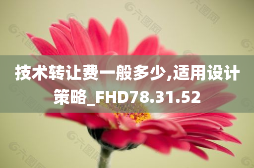 技术转让费一般多少,适用设计策略_FHD78.31.52