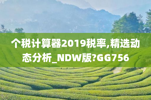 个税计算器2019税率,精选动态分析_NDW版?GG756