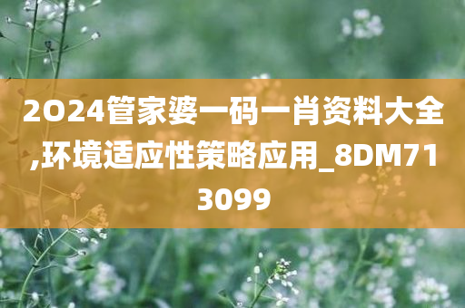 2O24管家婆一码一肖资料大全,环境适应性策略应用_8DM713099