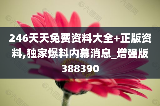 246天天免费资料大全+正版资料,独家爆料内幕消息_增强版388390