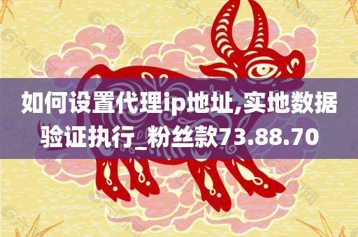 如何设置代理ip地址,实地数据验证执行_粉丝款73.88.70