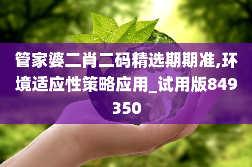 管家婆二肖二码精选期期准,环境适应性策略应用_试用版849350