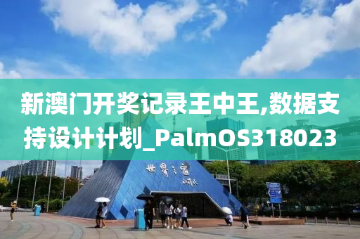 新澳门开奖记录王中王,数据支持设计计划_PalmOS318023