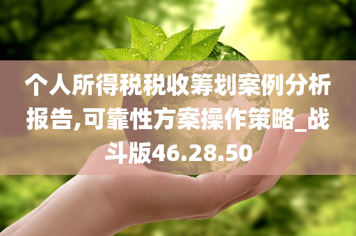 个人所得税税收筹划案例分析报告,可靠性方案操作策略_战斗版46.28.50