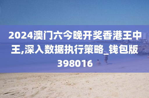 2024澳门六今晚开奖香港王中王,深入数据执行策略_钱包版398016