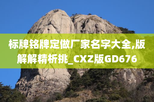 标牌铭牌定做厂家名字大全,版解解精析挑_CXZ版GD676