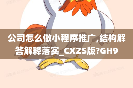 公司怎么做小程序推广,结构解答解释落实_CXZS版?GH9