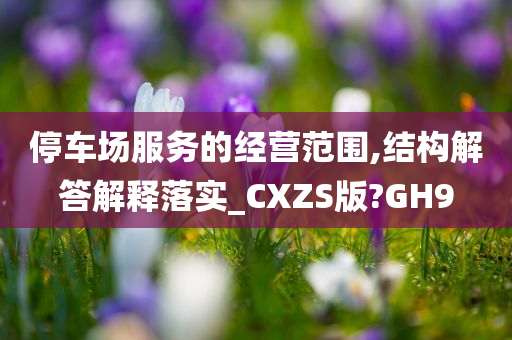 停车场服务的经营范围,结构解答解释落实_CXZS版?GH9