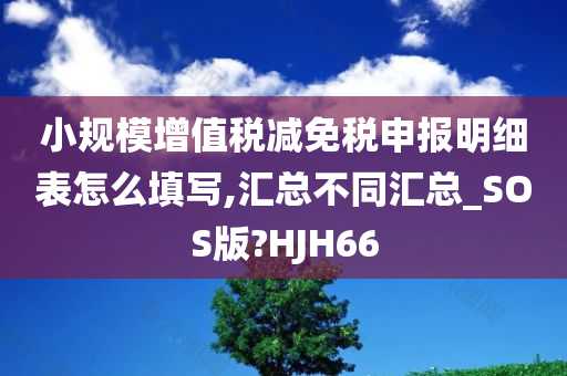 小规模增值税减免税申报明细表怎么填写,汇总不同汇总_SOS版?HJH66