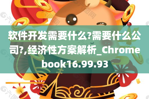 软件开发需要什么?需要什么公司?,经济性方案解析_Chromebook16.99.93