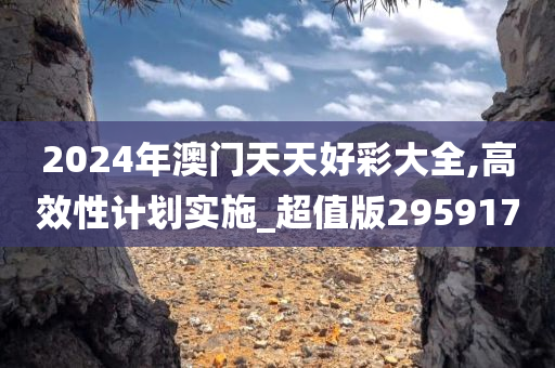 2024年澳门天天好彩大全,高效性计划实施_超值版295917