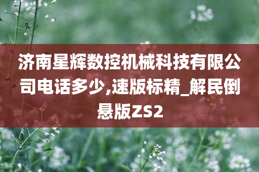 济南星辉数控机械科技有限公司电话多少,速版标精_解民倒悬版ZS2