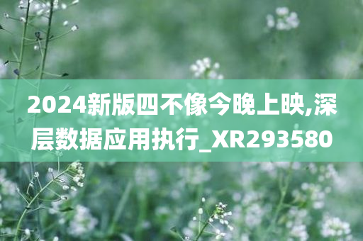 2024新版四不像今晚上映,深层数据应用执行_XR293580