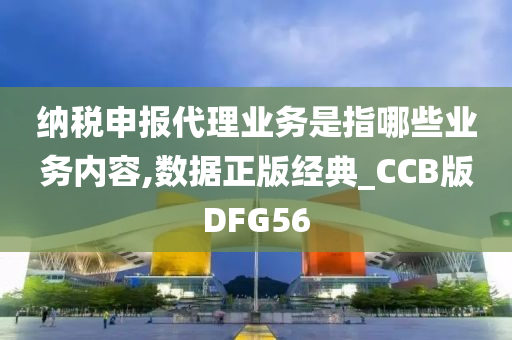 纳税申报代理业务是指哪些业务内容,数据正版经典_CCB版DFG56