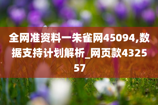 全网准资料一朱雀网45094,数据支持计划解析_网页款432557