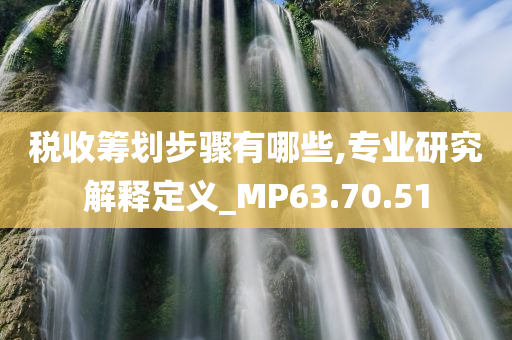 税收筹划步骤有哪些,专业研究解释定义_MP63.70.51