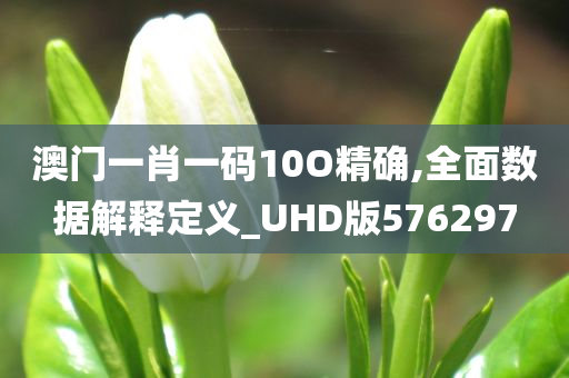 澳门一肖一码10O精确,全面数据解释定义_UHD版576297