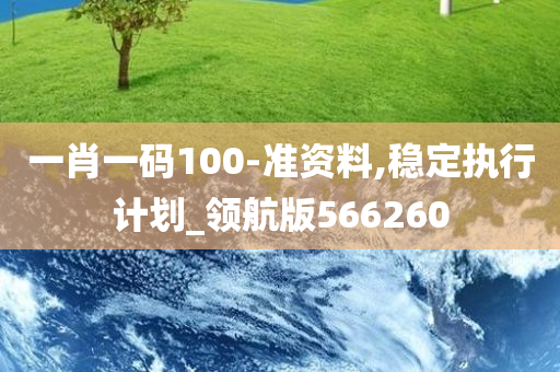 一肖一码100-准资料,稳定执行计划_领航版566260